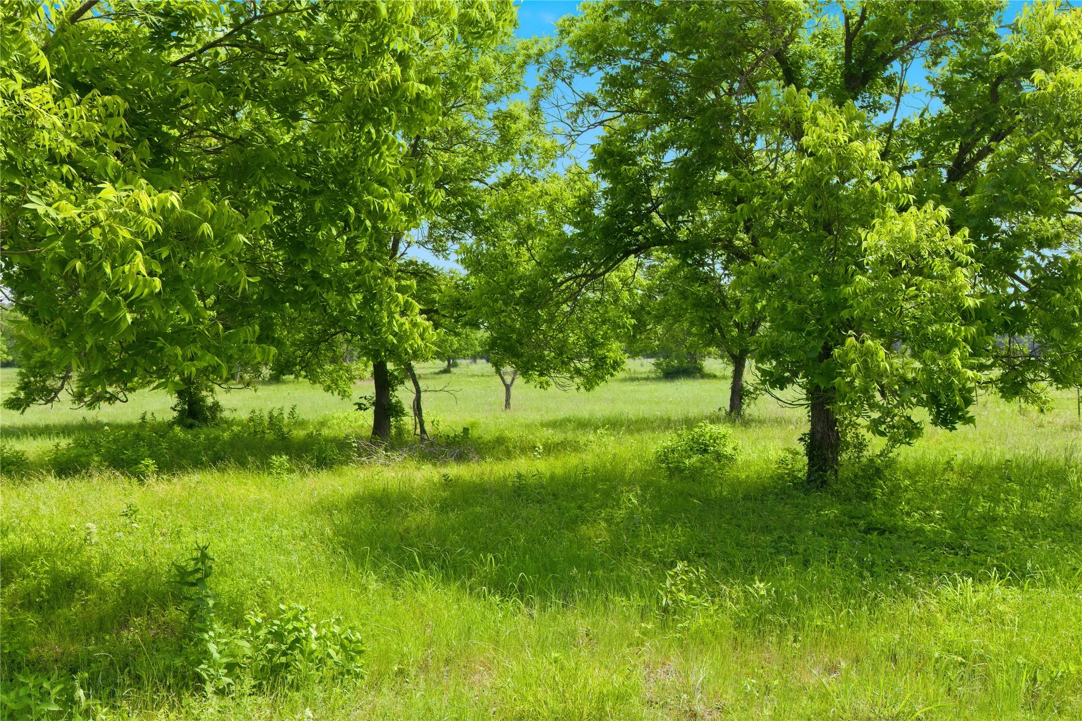 Lot 3 County Road 3430 Lone Oak TX 75453