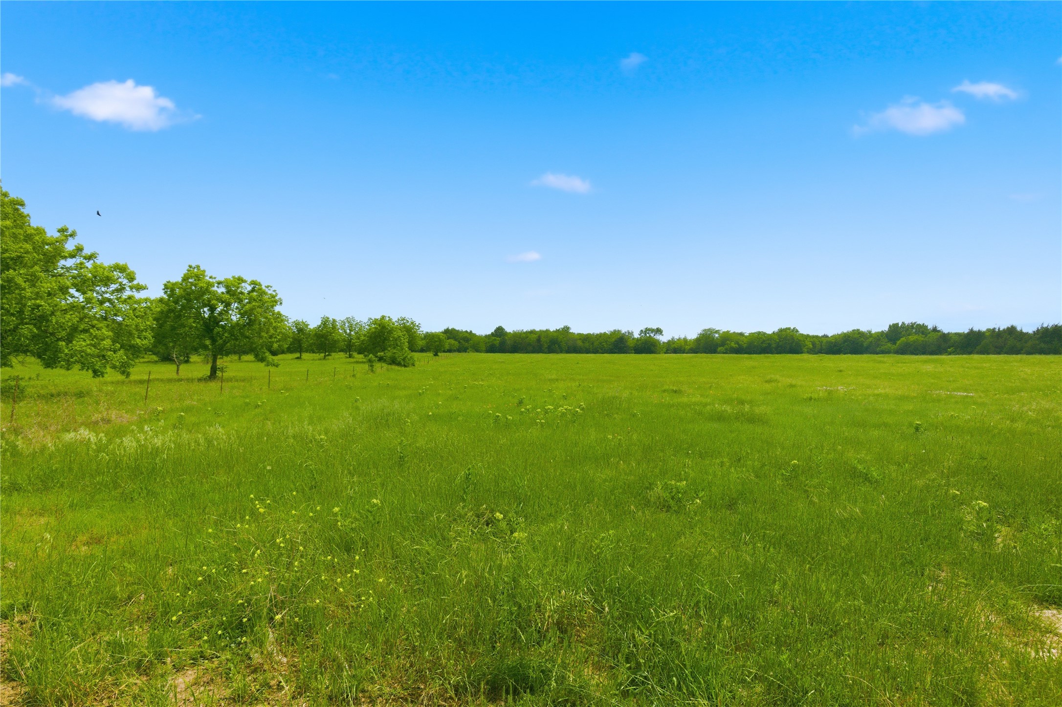 Lot 3 County Road 3430 Lone Oak TX 75453