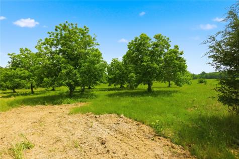 Lot 3 County Road 3430 Lone Oak TX 75453