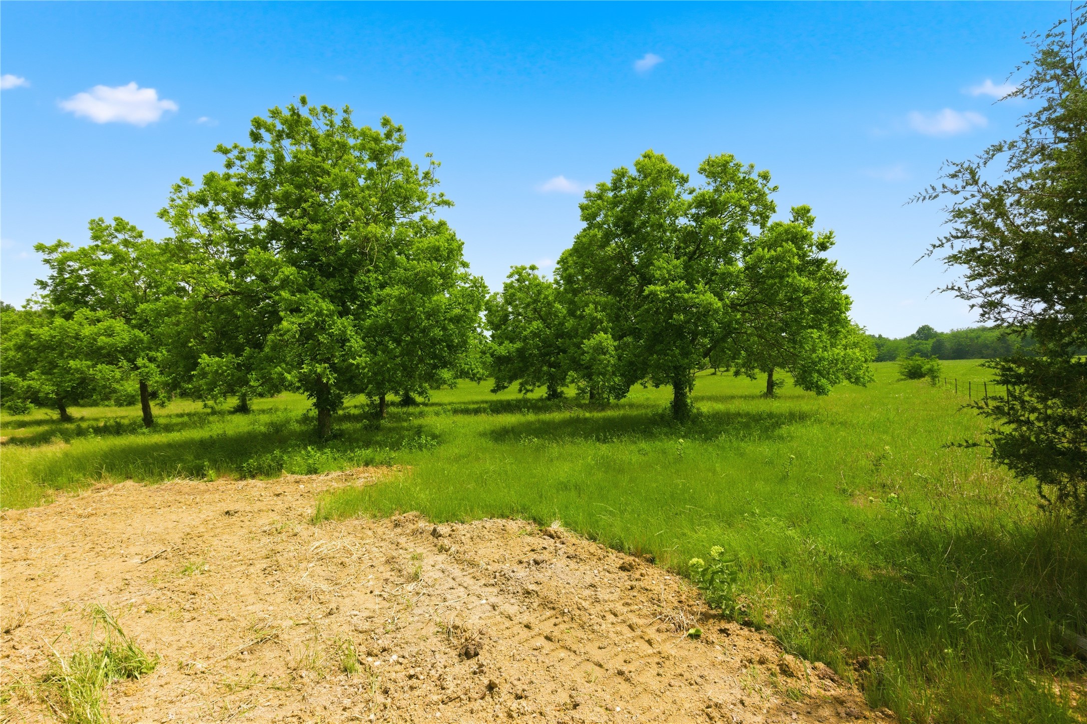 Lot 3 County Road 3430 Lone Oak TX 75453