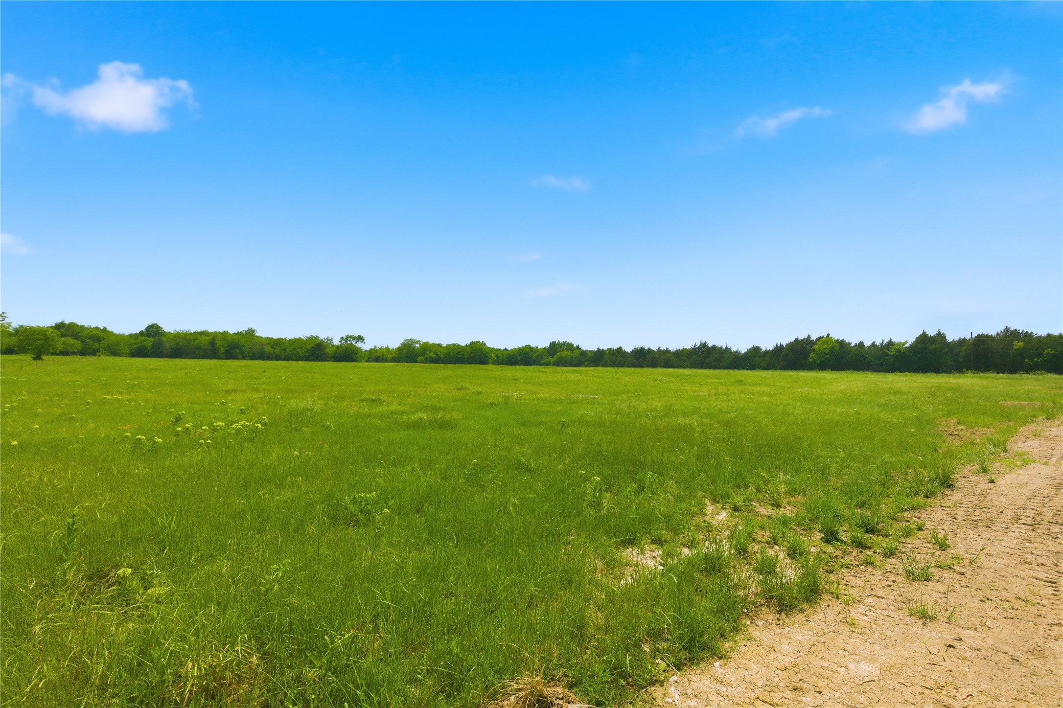 Lot 3 County Road 3430 Lone Oak TX 75453