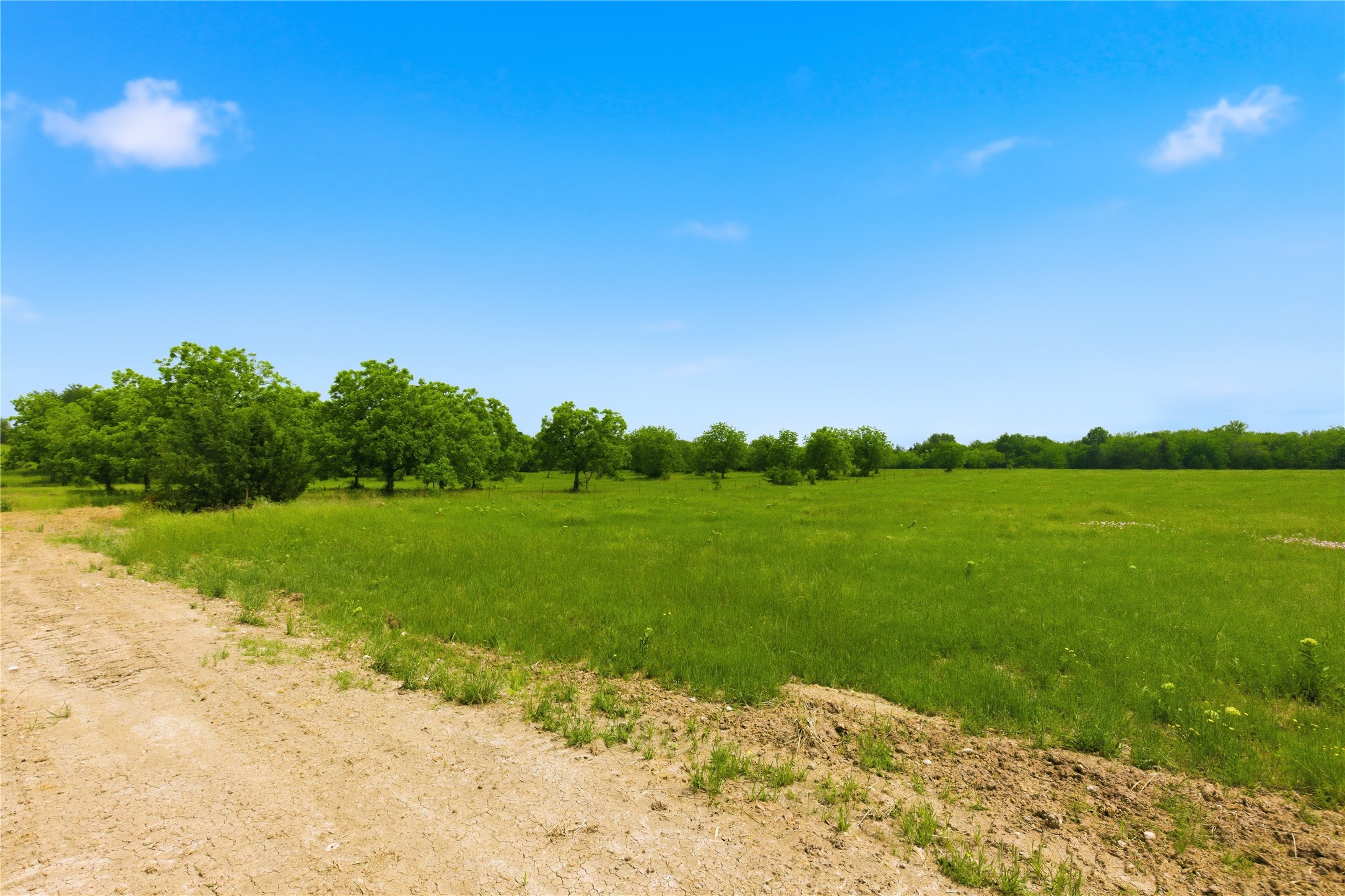 Lot 3 County Road 3430 Lone Oak TX 75453