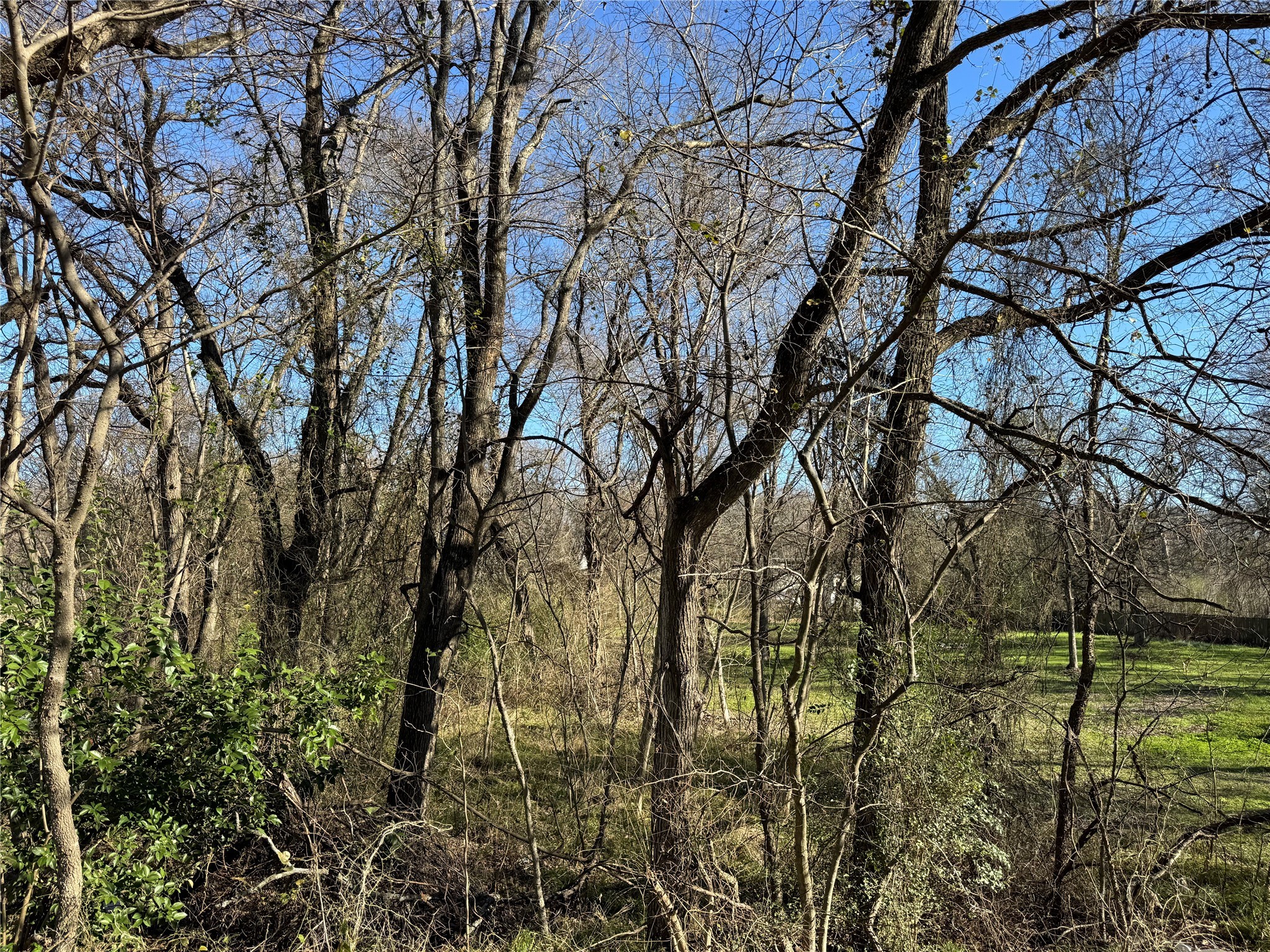 0 Maple Gun Barrel City TX 75156
