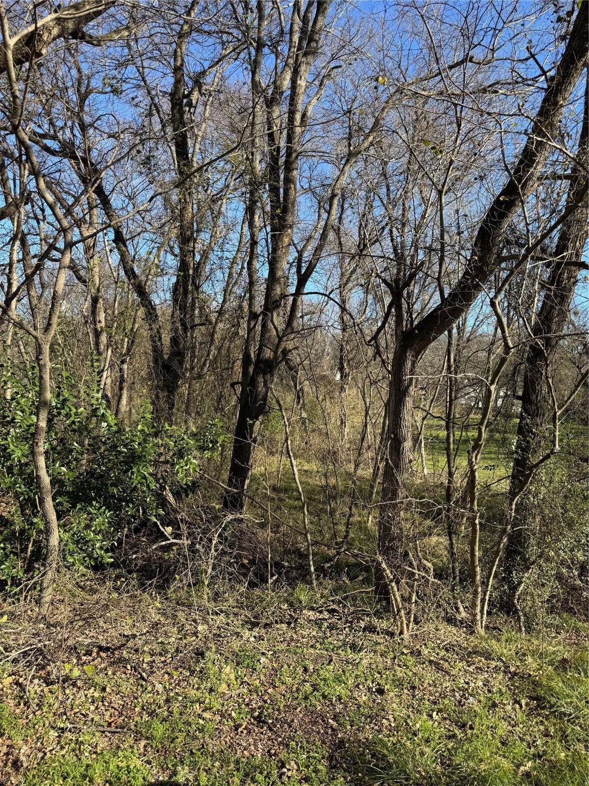 0 Maple Gun Barrel City TX 75156