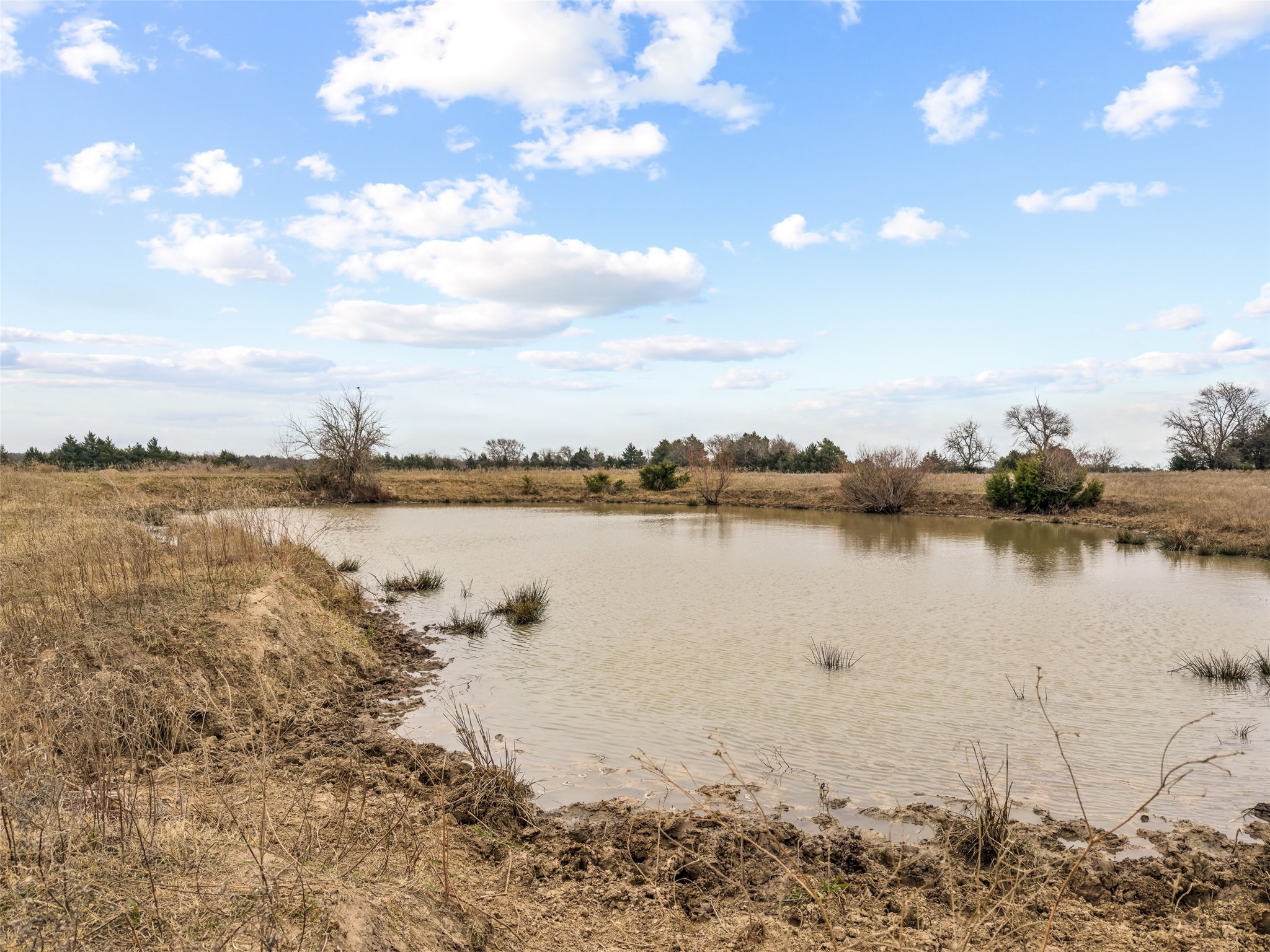 Tract 3 County Road 1255 Savoy TX 75479