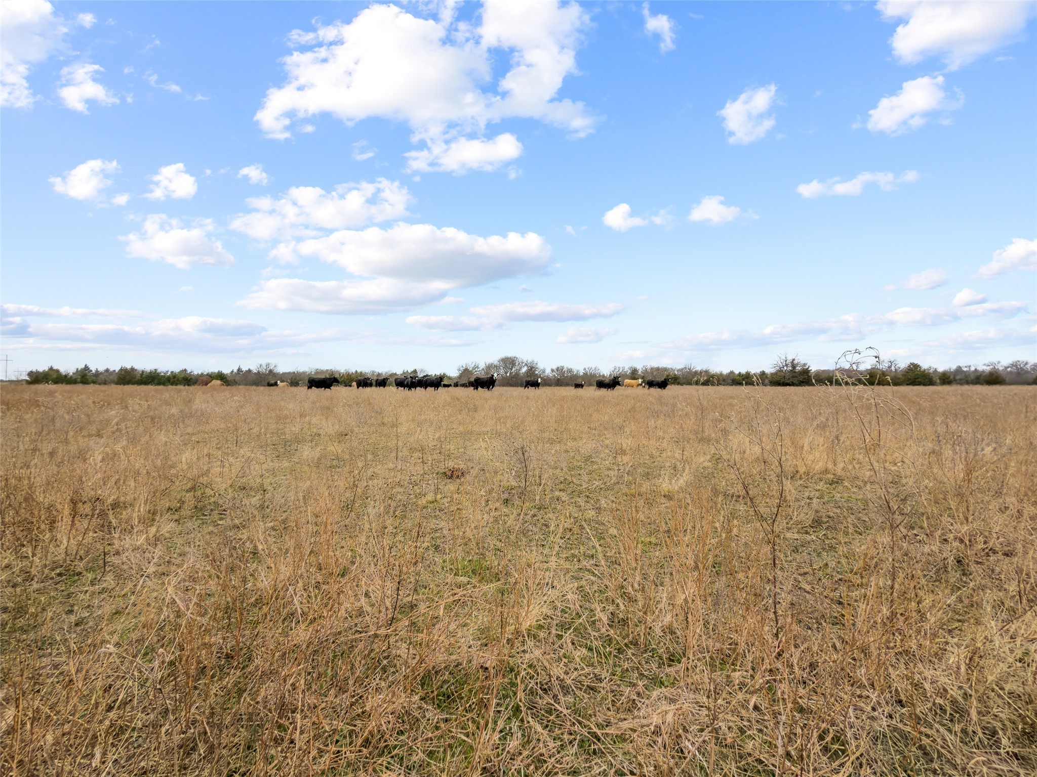 Tract 3 County Road 1255 Savoy TX 75479