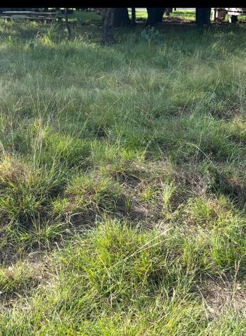 Lot 654 S Lakeside Drive May TX 76857
