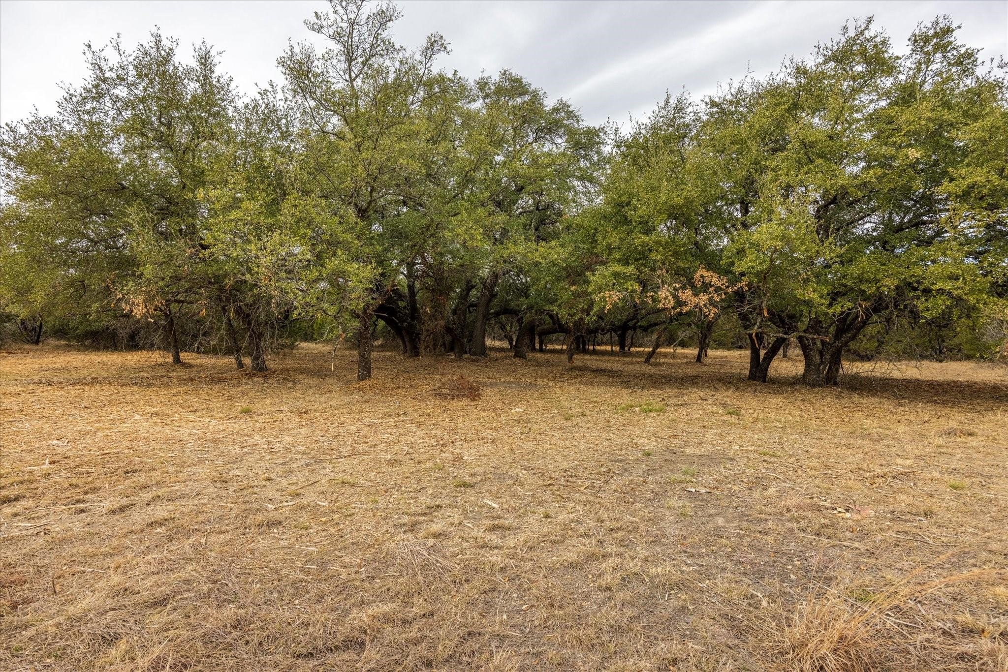 Tbd Cr 1012 Glen Rose TX 76043