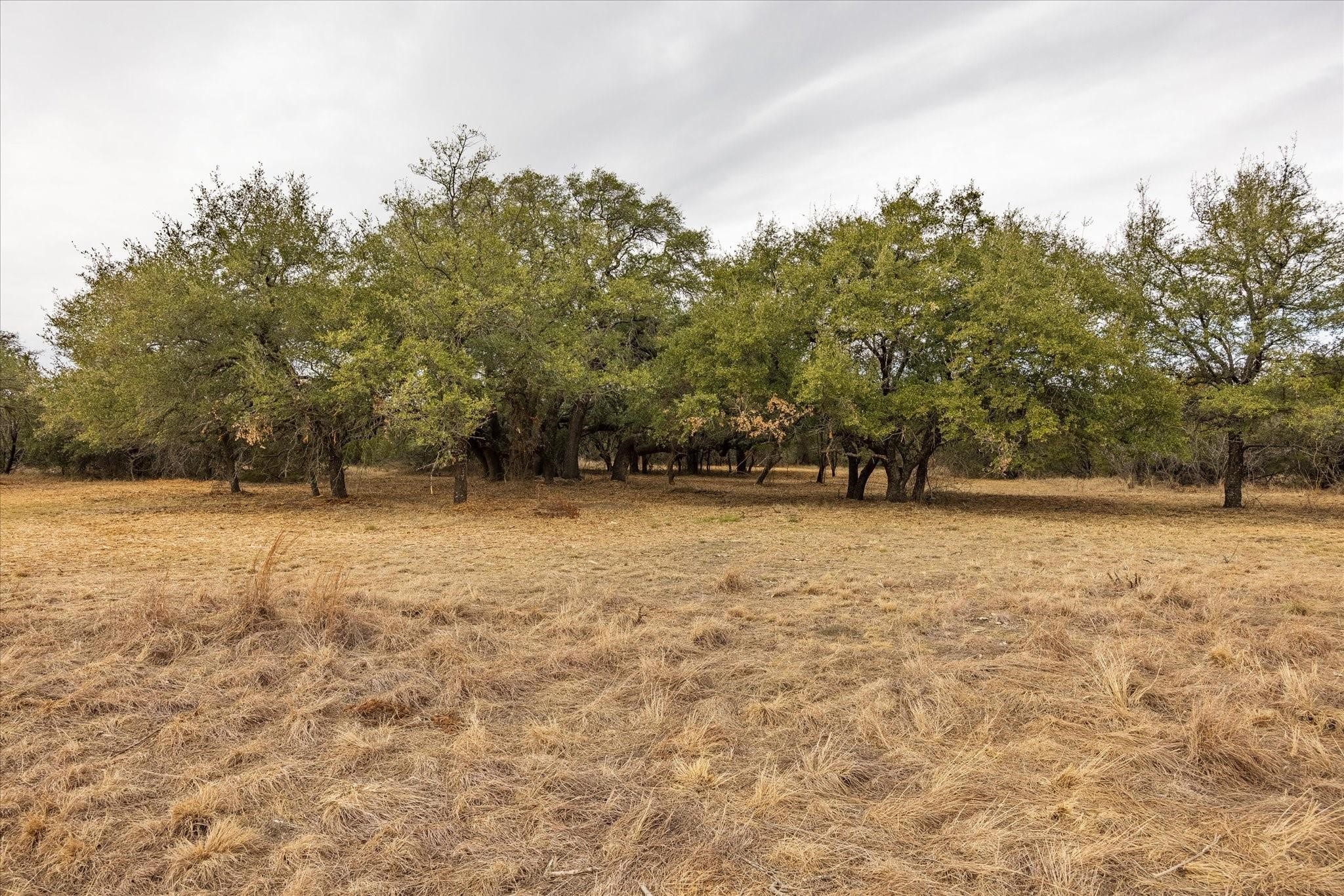 Tbd Cr 1012 Glen Rose TX 76043