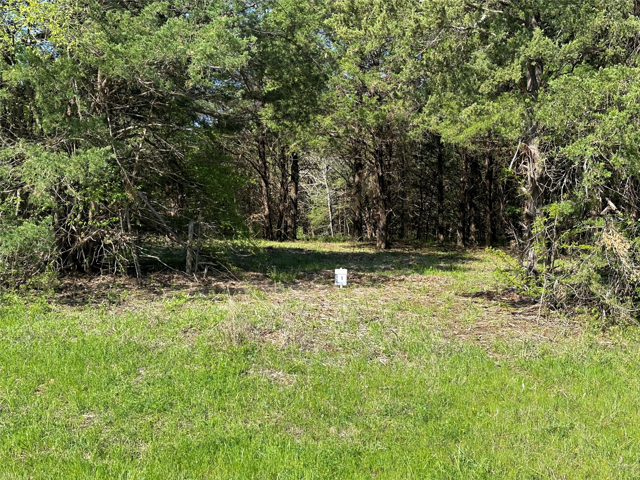 Tract 1 Farm To Market 1743 Honey Grove TX 75446