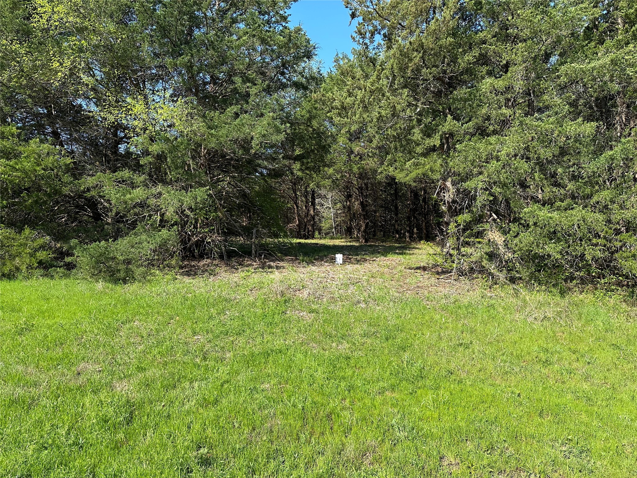 Tract 1 Farm To Market 1743 Honey Grove TX 75446