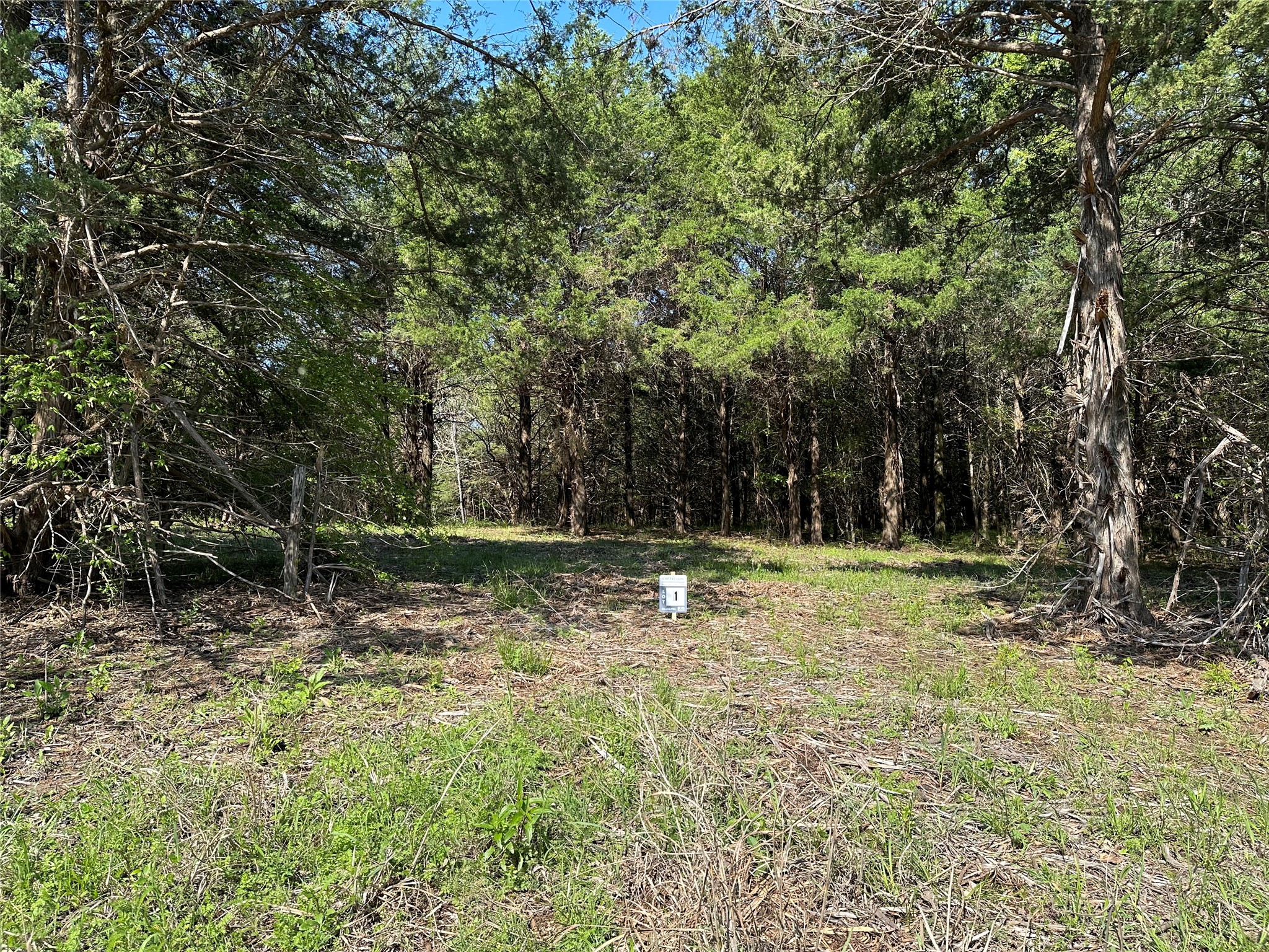 Tract 1 Farm To Market 1743 Honey Grove TX 75446