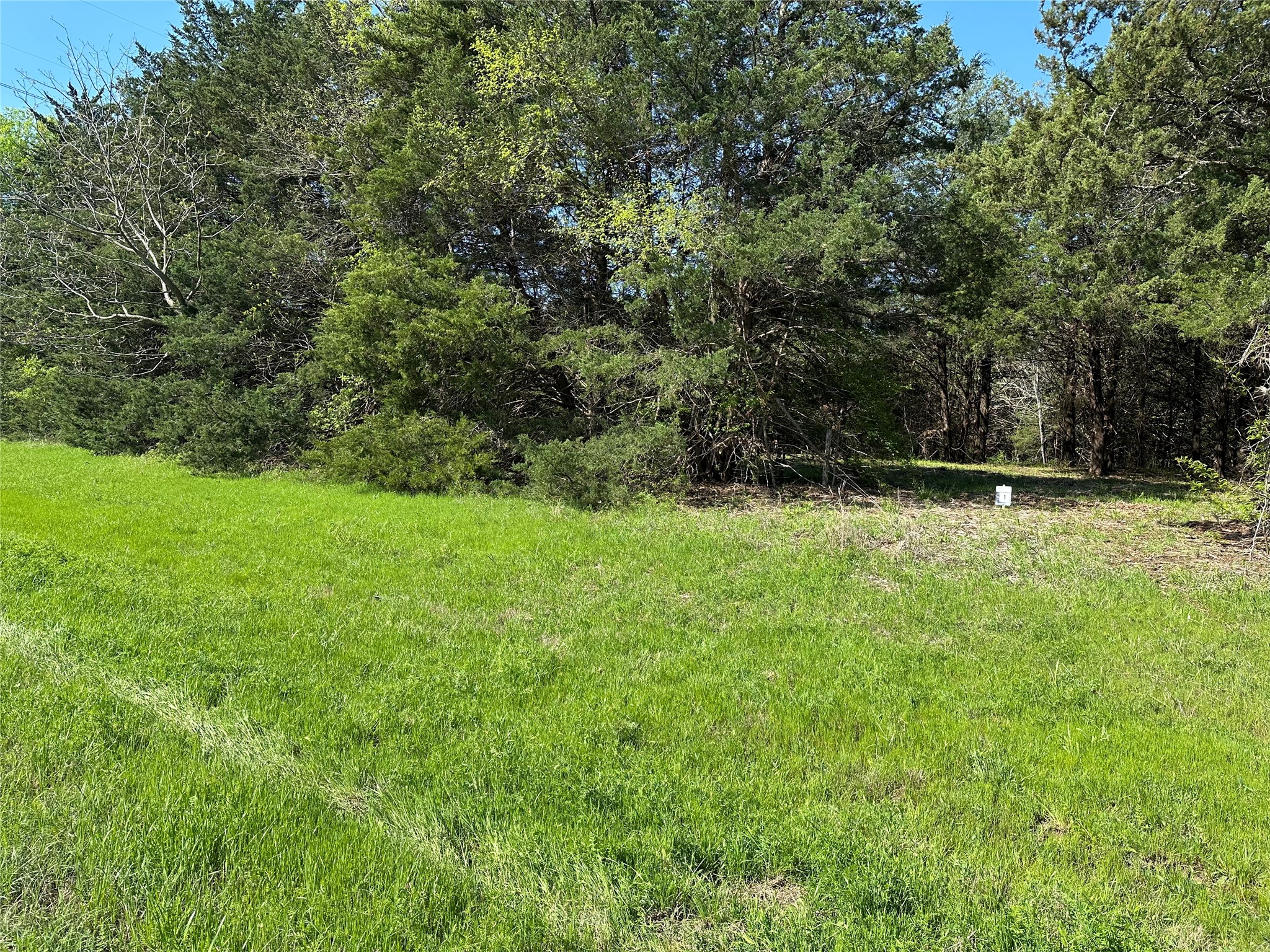 Tract 1 Farm To Market 1743 Honey Grove TX 75446