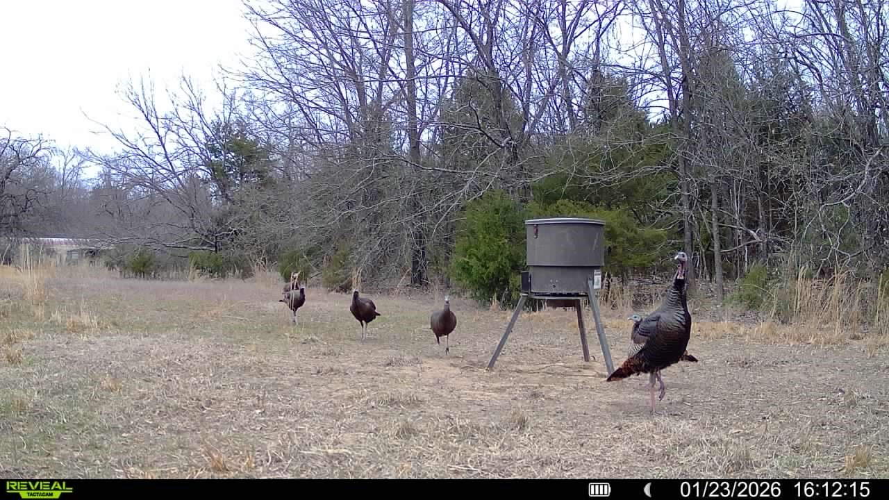 Tbd Fm 274 Bonham TX 75418