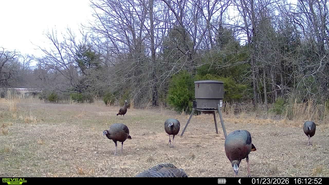 Tbd Fm 274 Bonham TX 75418
