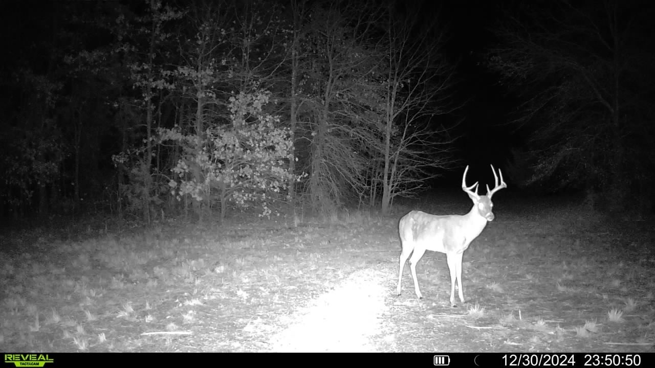 Tbd Fm 274 Bonham TX 75418
