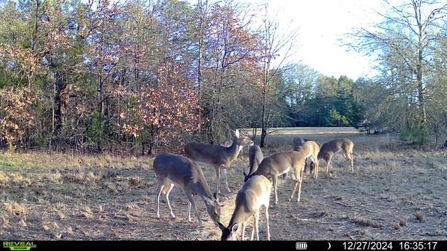 Tbd Fm 274 Bonham TX 75418
