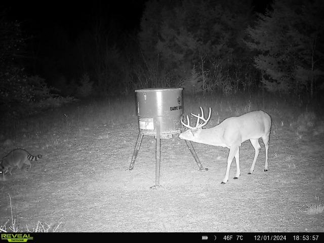 Tbd Fm 274 Bonham TX 75418