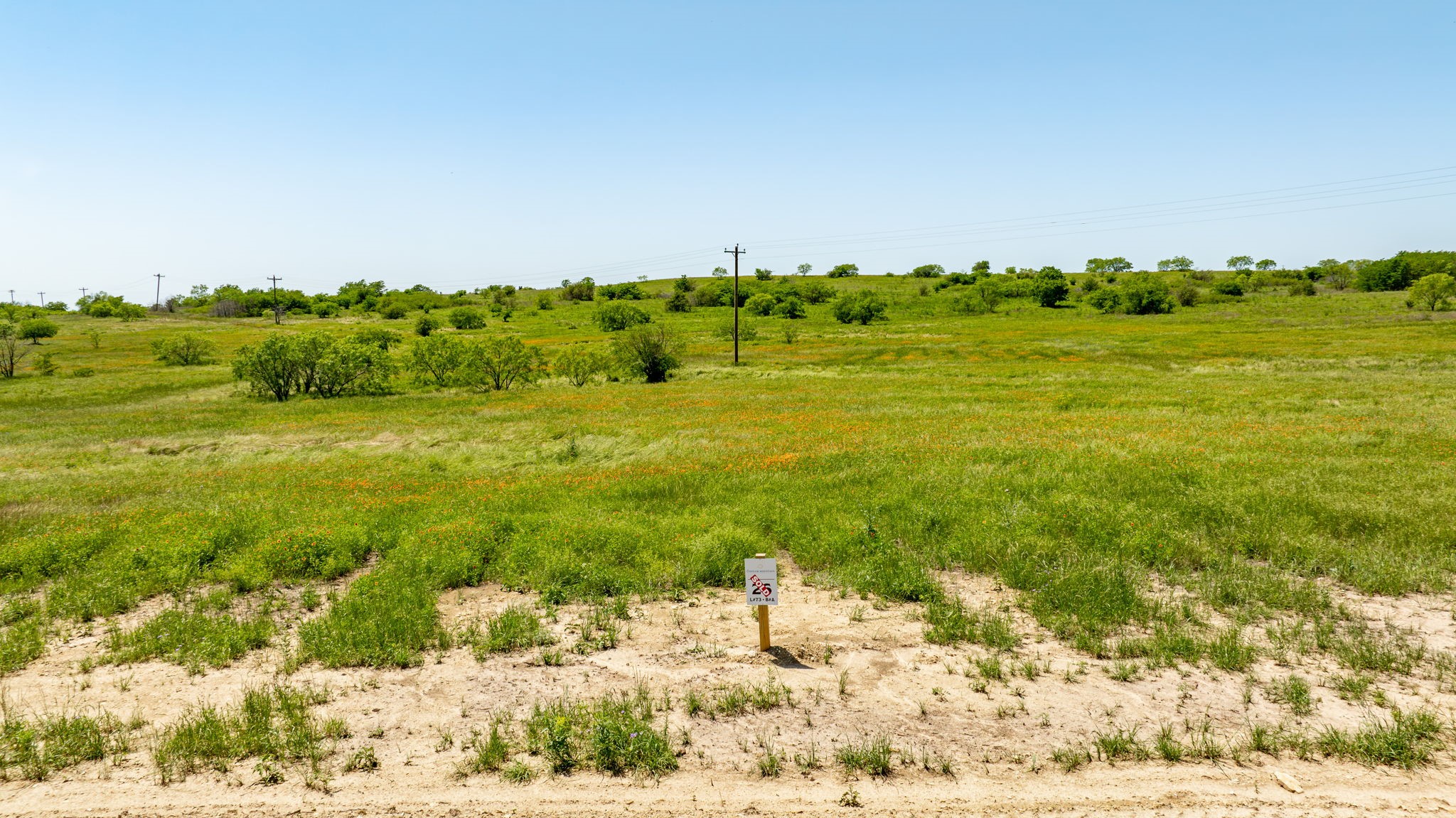 3408 Lucky Pepper Drive Cresson TX 76035