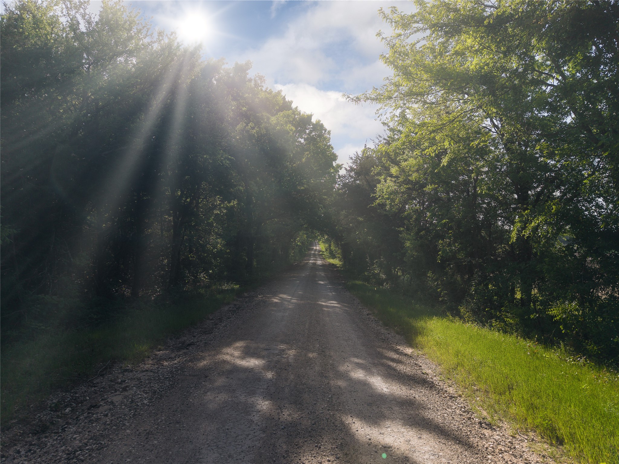 455 County Road 3395 Ladonia TX 75449