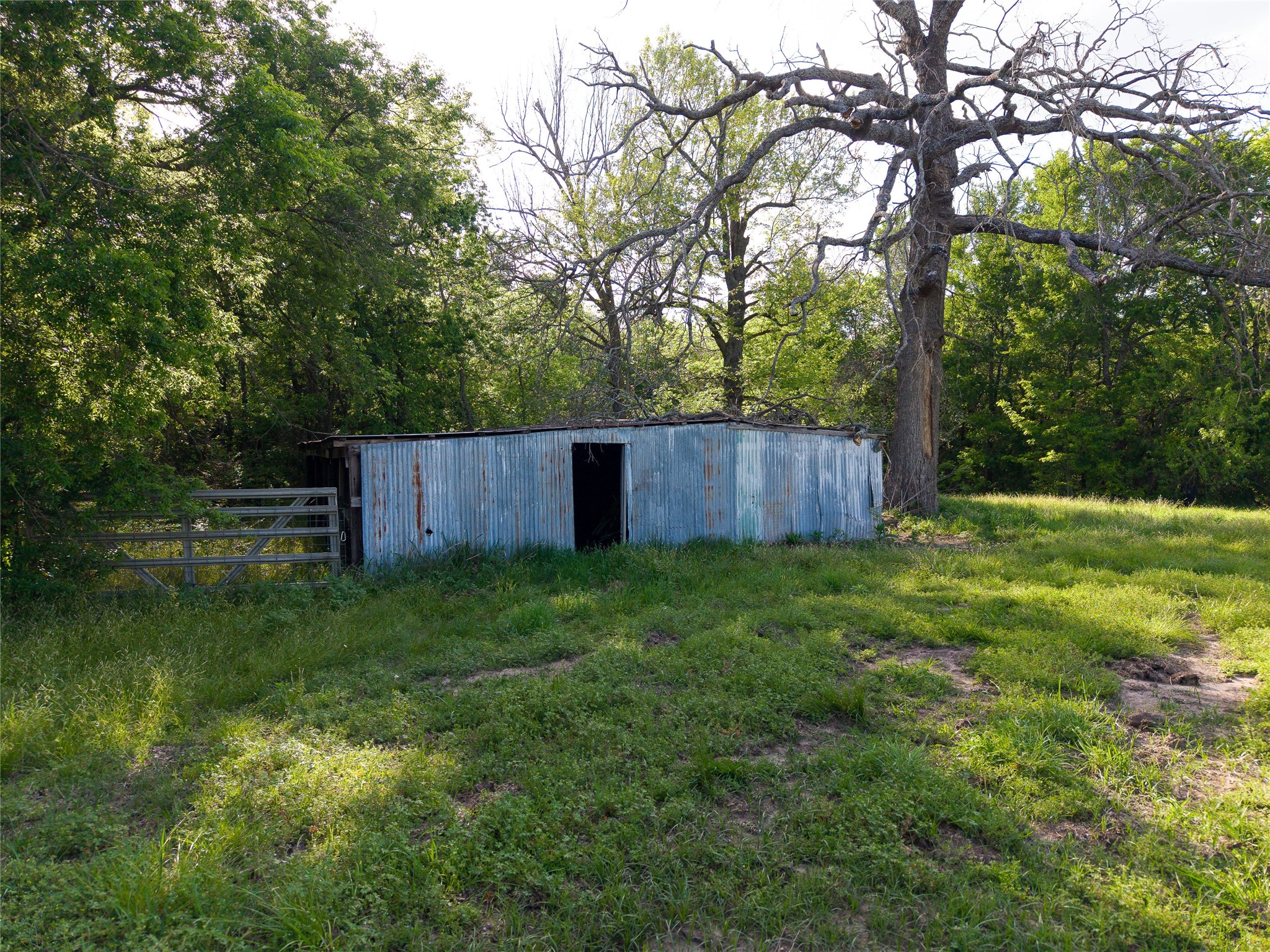 455 County Road 3395 Ladonia TX 75449