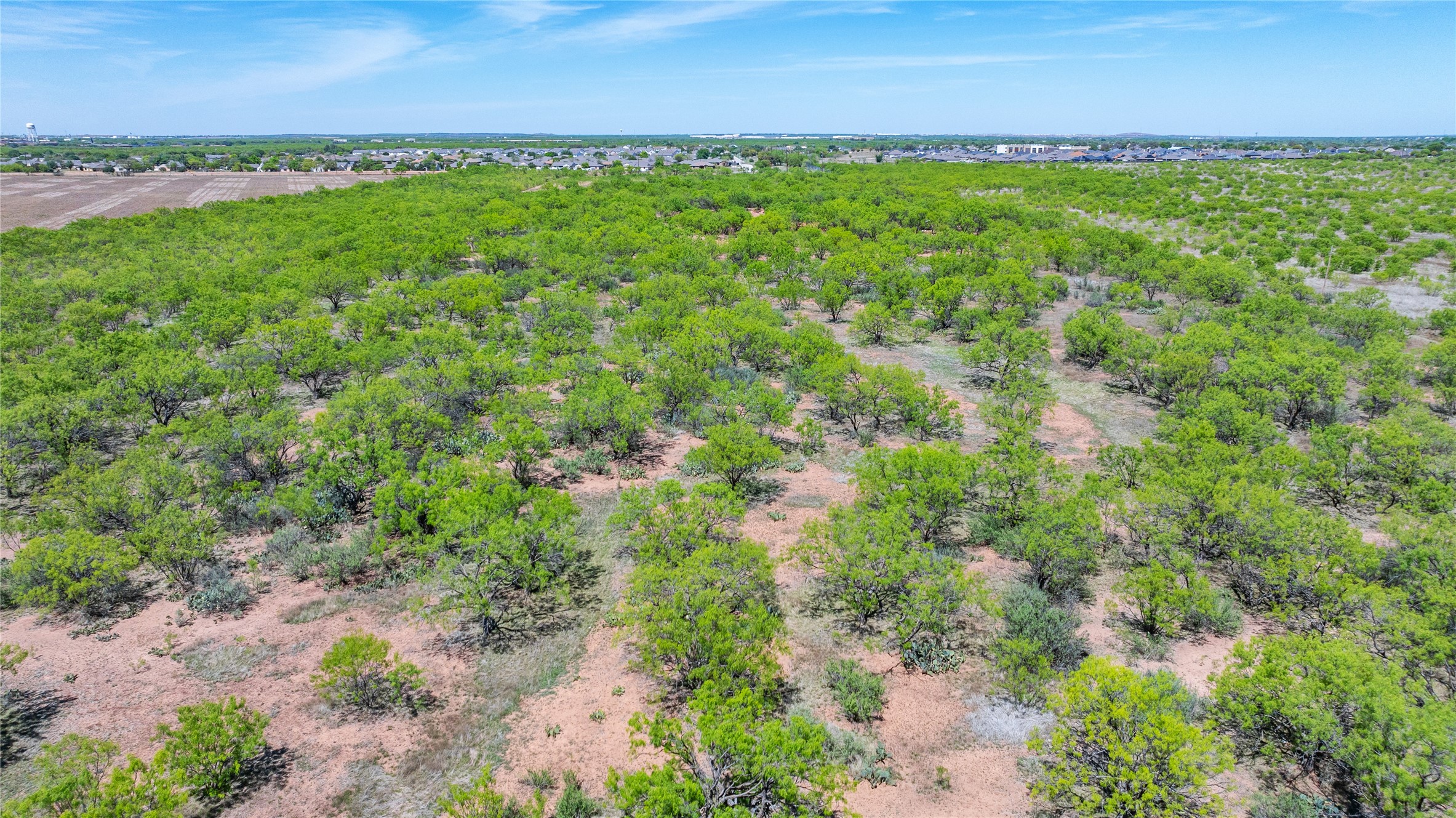 7050 Autumn Sage Lane Abilene TX 79606
