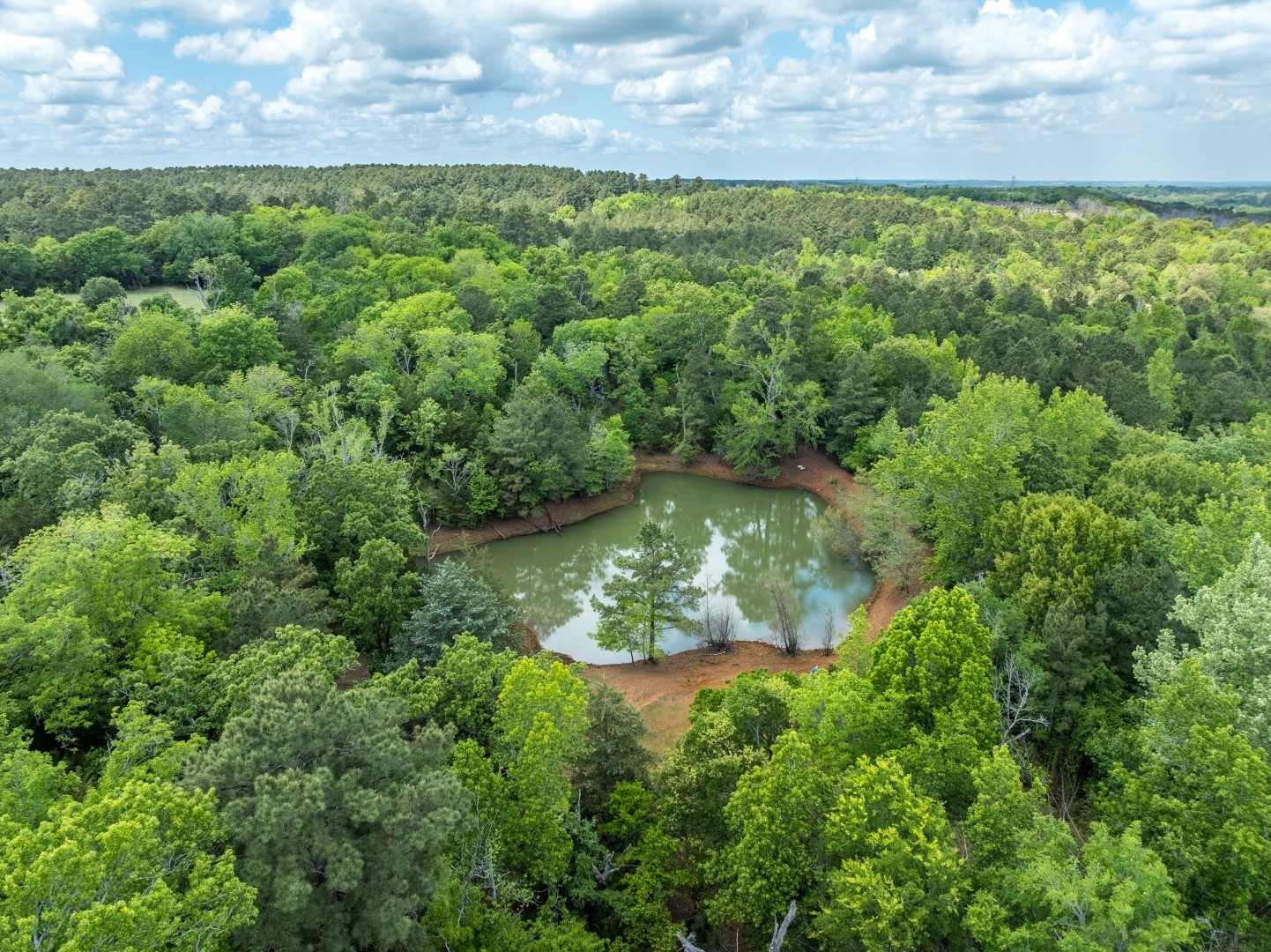 1695 County Road 3408 Jacksonville TX 75766