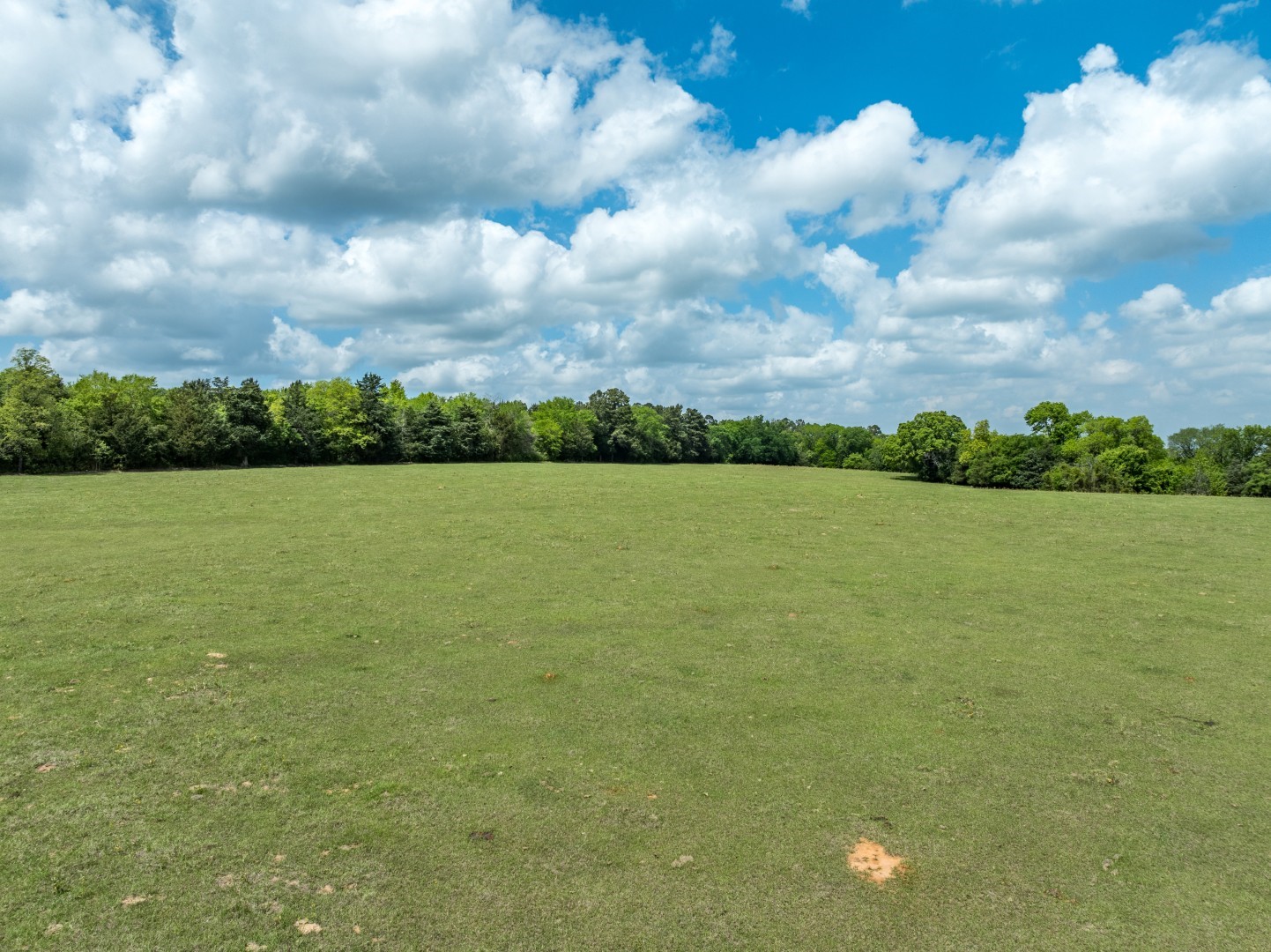 1695 County Road 3408 Jacksonville TX 75766