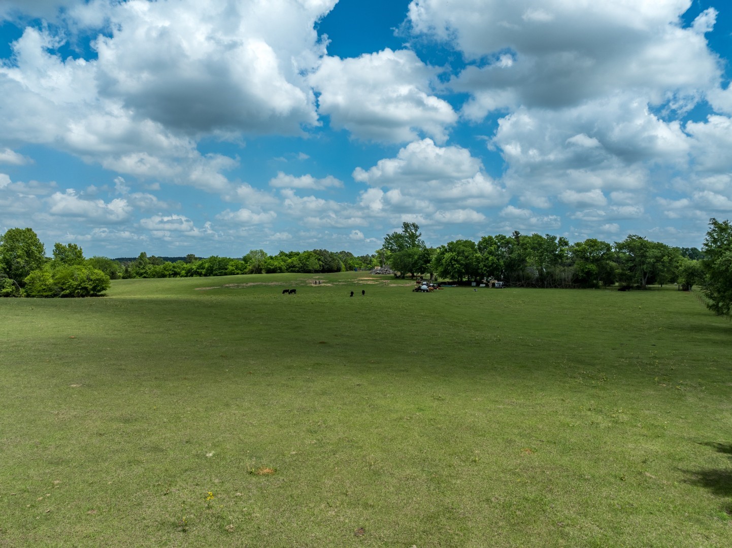 1695 County Road 3408 Jacksonville TX 75766