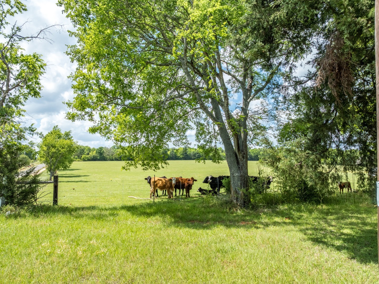 1695 County Road 3408 Jacksonville TX 75766