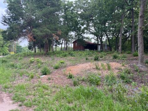 Tbd E Walnut Trail Murchison TX 75778