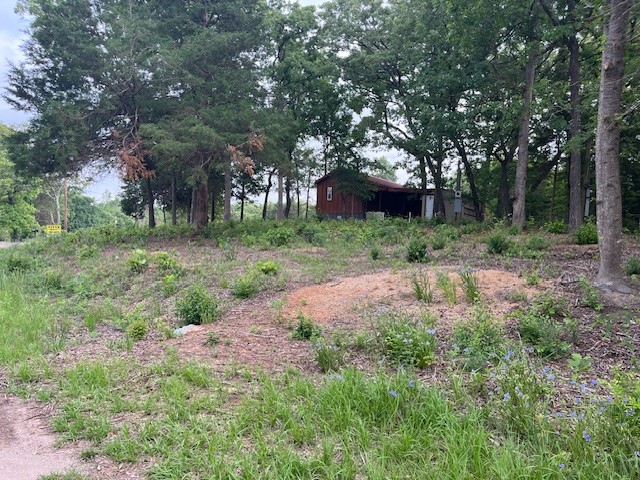 Tbd E Walnut Trail Murchison TX 75778