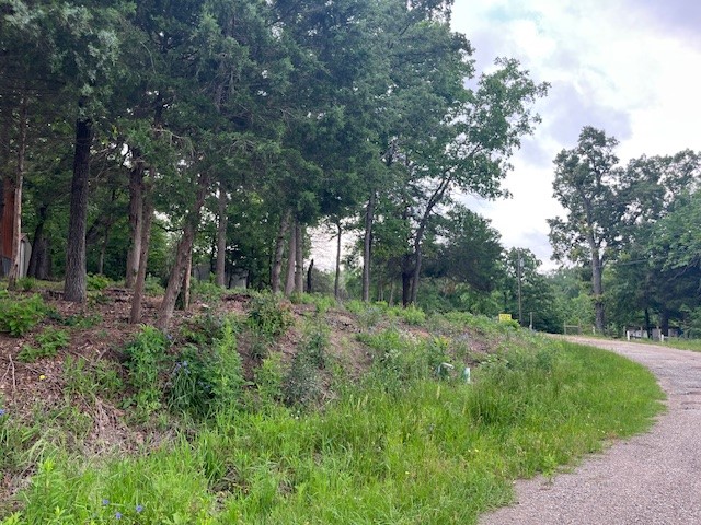 Tbd E Walnut Trail Murchison TX 75778