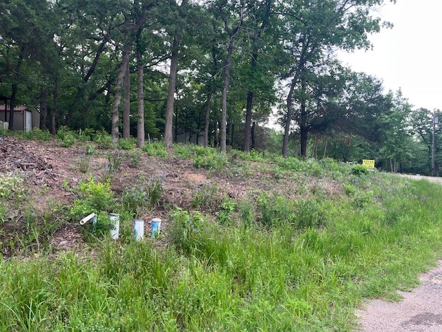 Tbd E Walnut Trail Murchison TX 75778