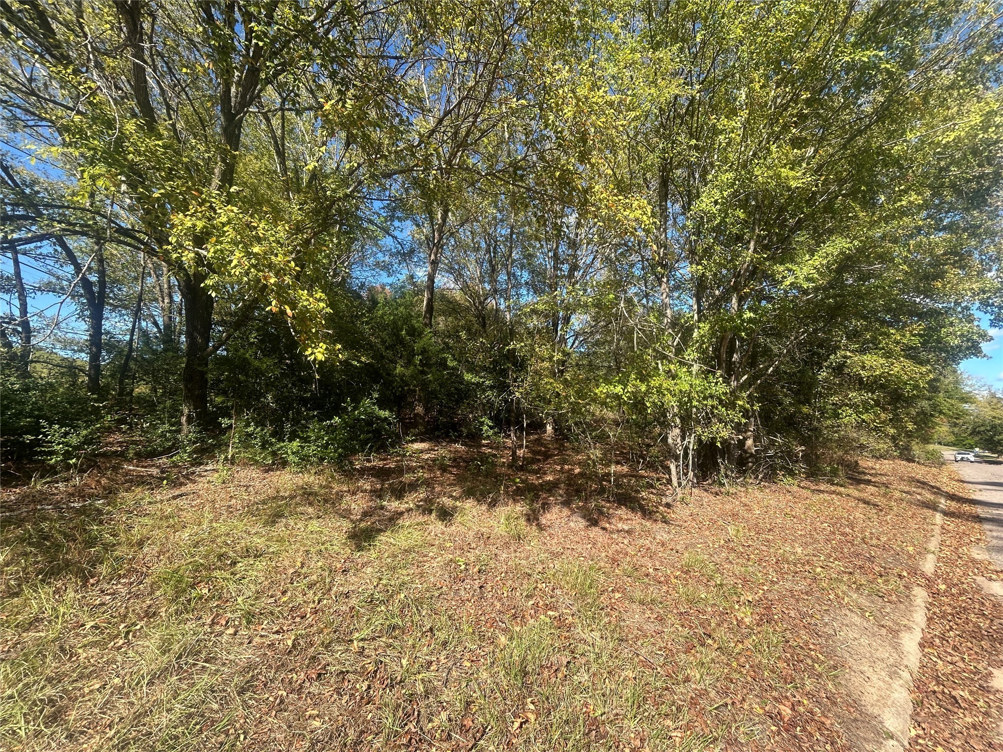 10 Bayshore Drive Athens TX 75752