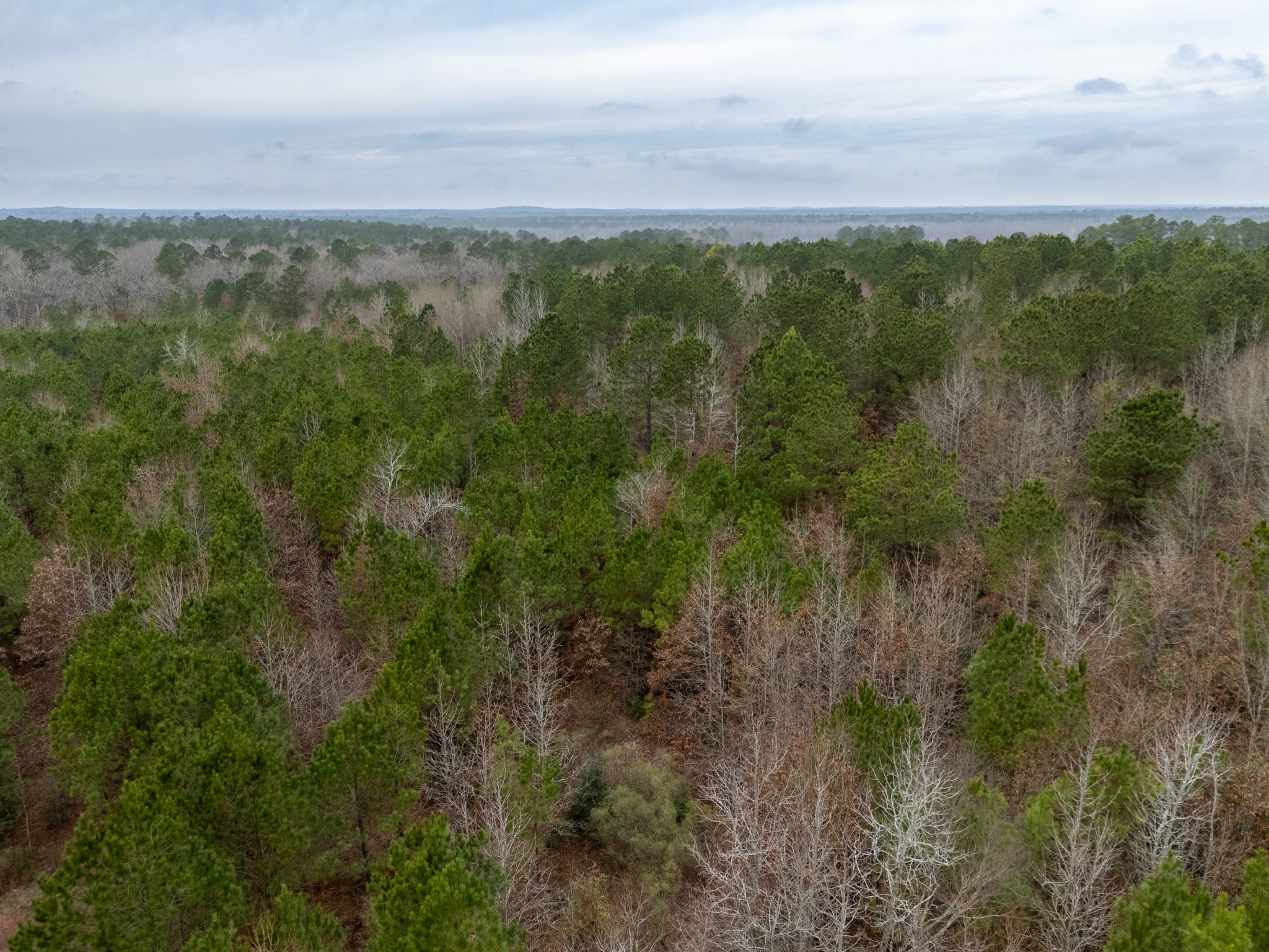 6052 Blocker Road Marshall TX 75672