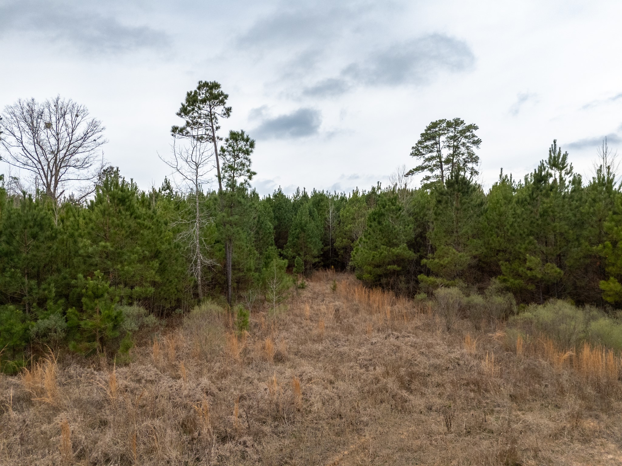 6052 Blocker Road Marshall TX 75672