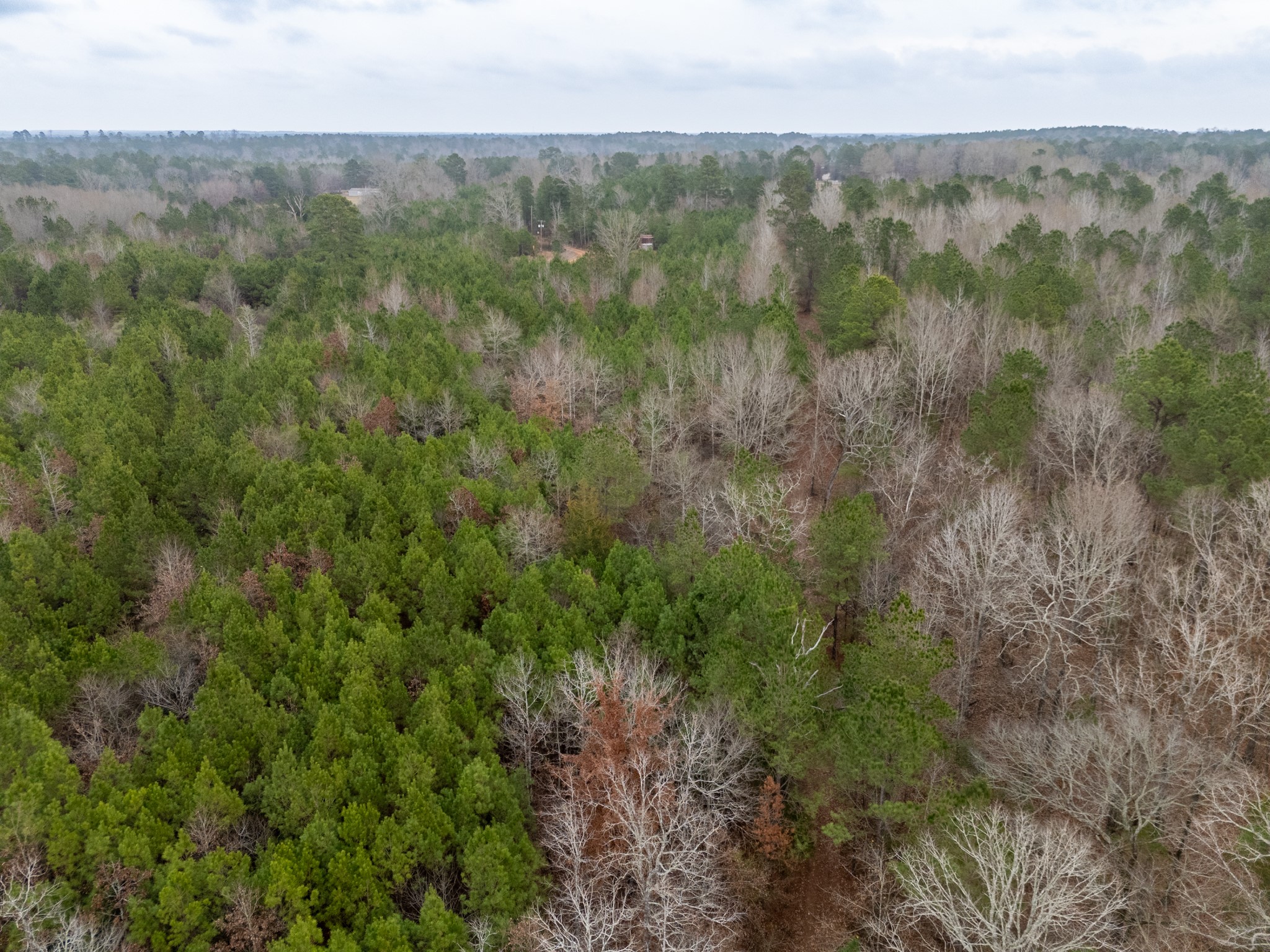 6052 Blocker Road Marshall TX 75672