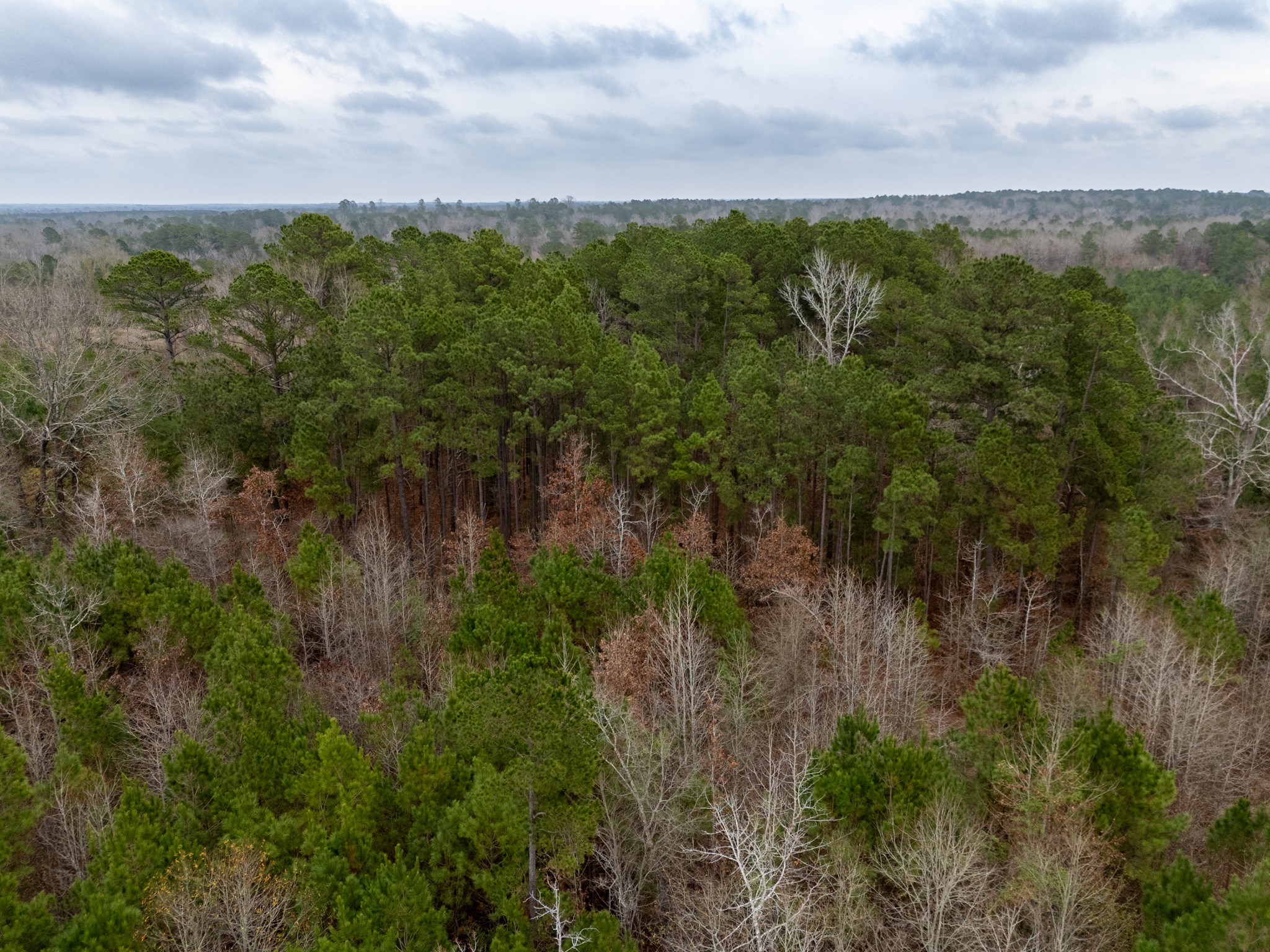 6052 Blocker Road Marshall TX 75672