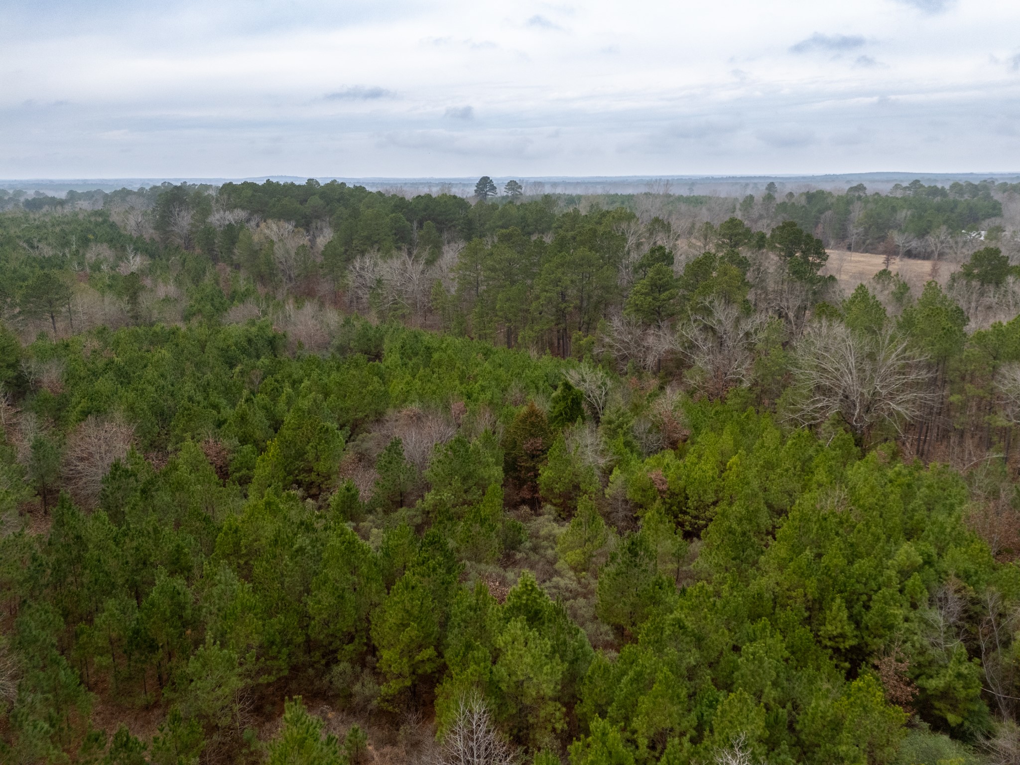 6052 Blocker Road Marshall TX 75672