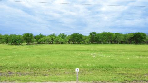 Lot 9 Alfonso Drive Corsicana TX 75110