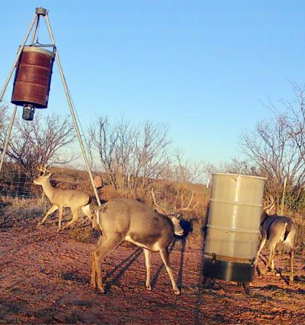Tbd Pr Off Of Cr 444 Merkel TX 79536