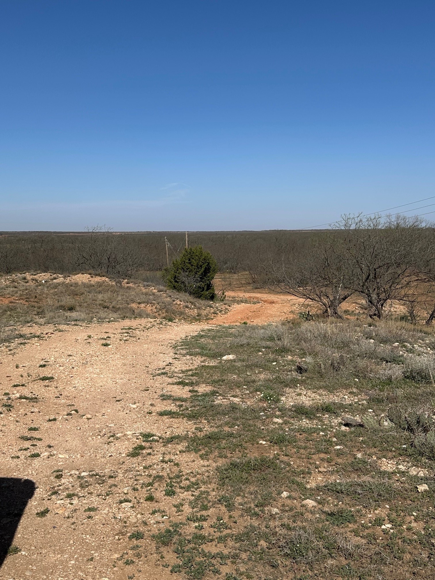 Tbd Pr Off Of Cr 444 Merkel TX 79536
