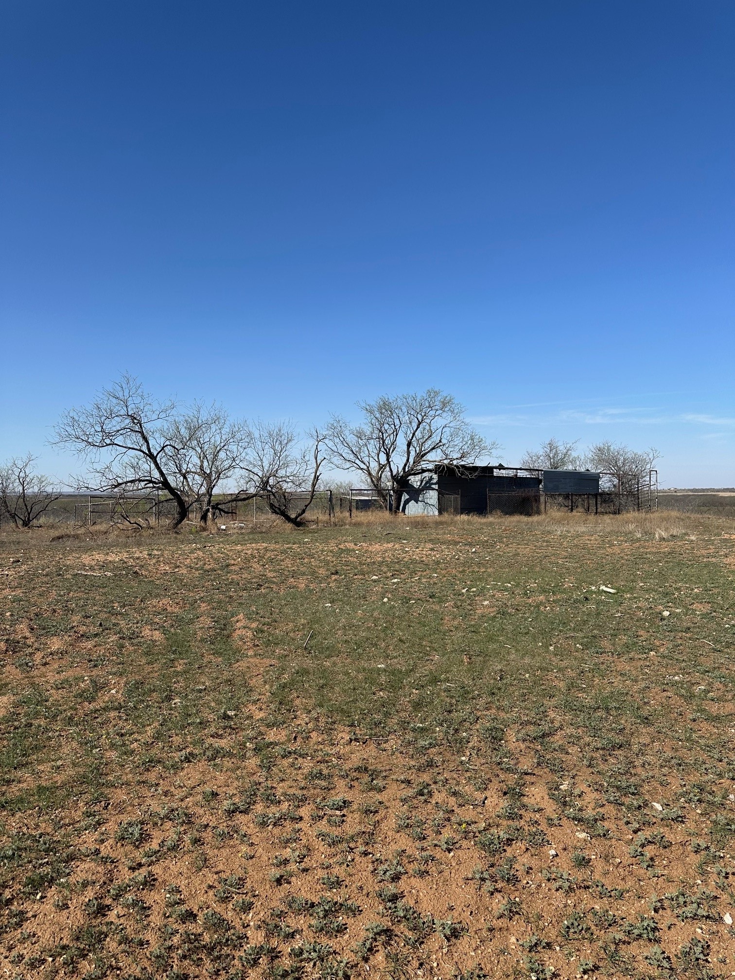 Tbd Pr Off Of Cr 444 Merkel TX 79536