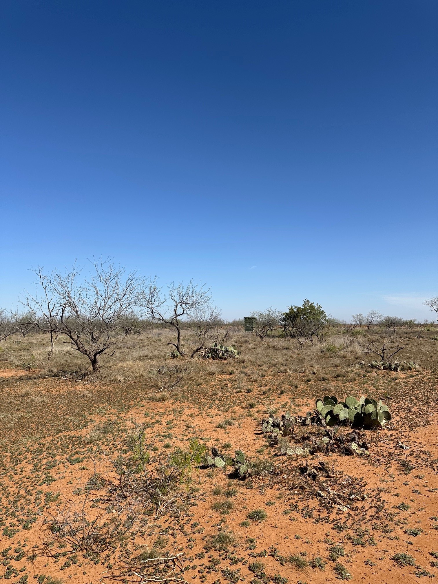 Tbd Pr Off Of Cr 444 Merkel TX 79536