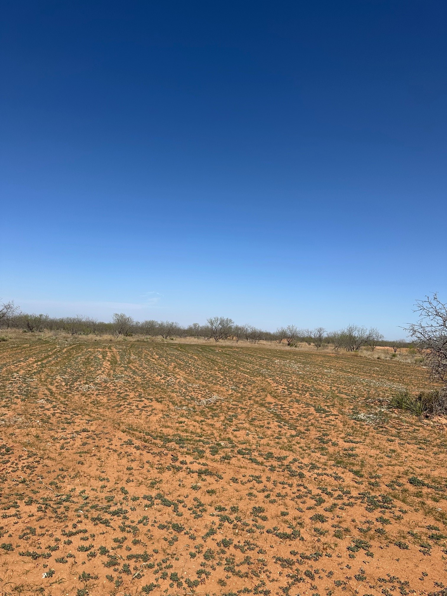 Tbd Pr Off Of Cr 444 Merkel TX 79536