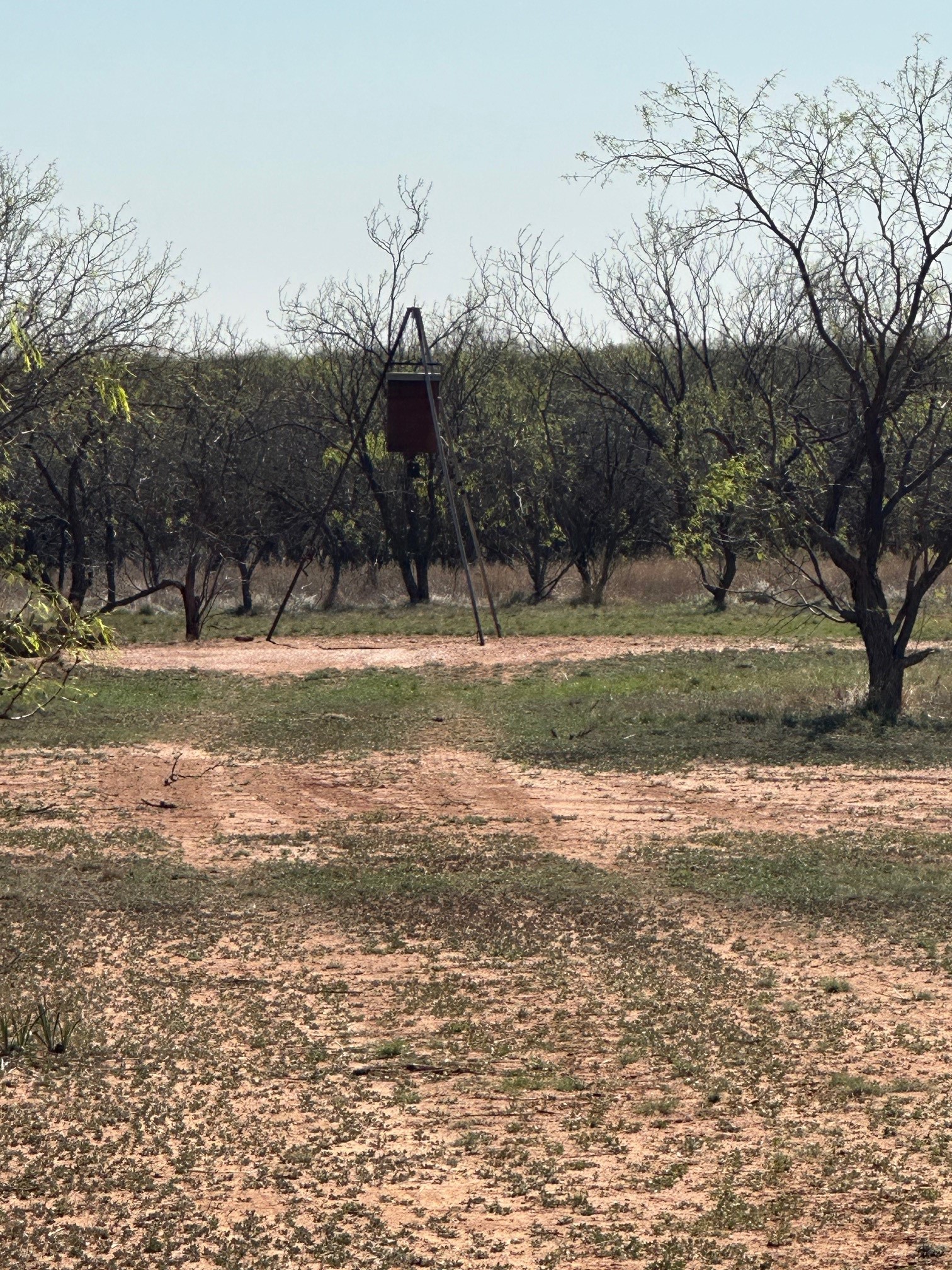 Tbd Pr Off Of Cr 444 Merkel TX 79536