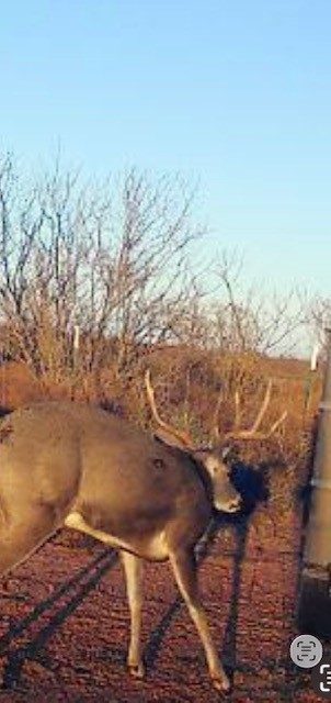 Tbd Pr Off Of Cr 444 Merkel TX 79536