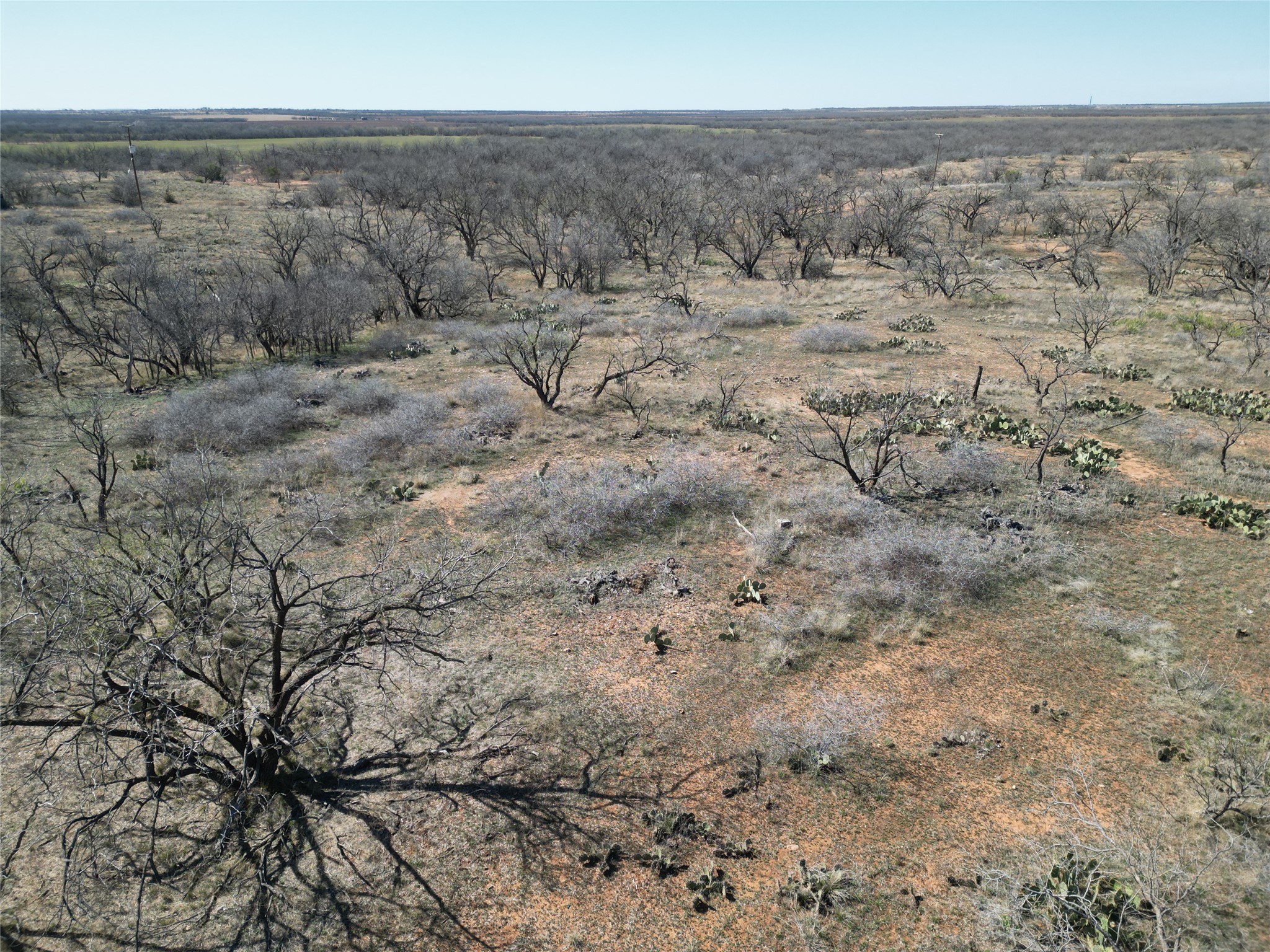 Tbd Pr Off Of Cr 444 Merkel TX 79536