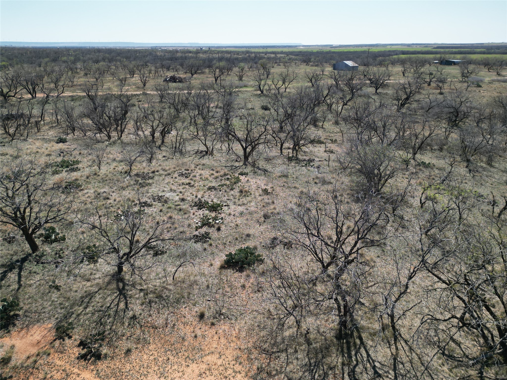 Tbd Pr Off Of Cr 444 Merkel TX 79536